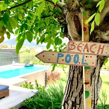 The Backyard *