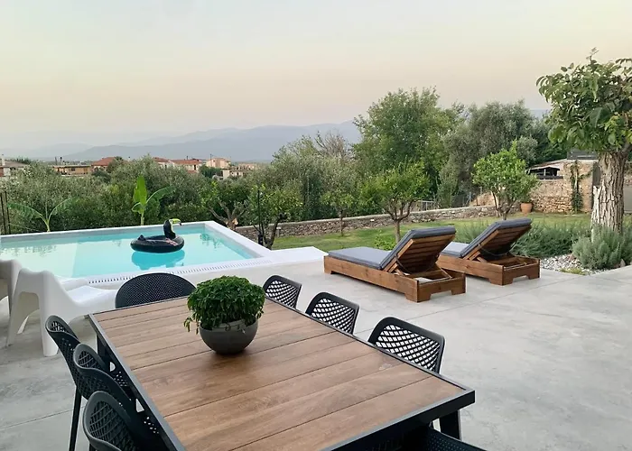 فيلة The Backyard *