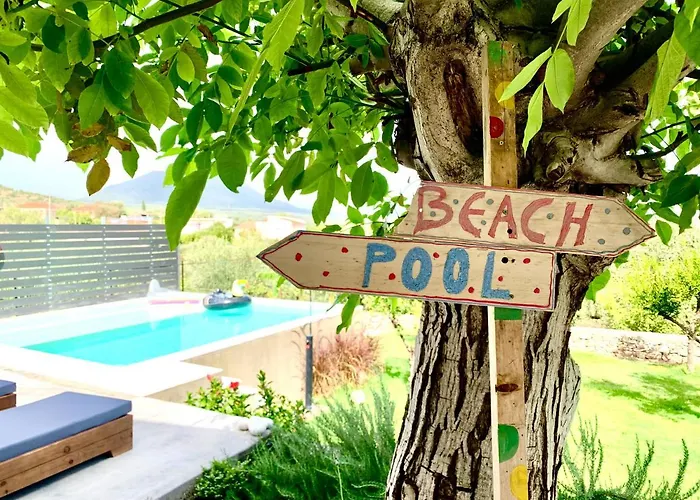 The Backyard *